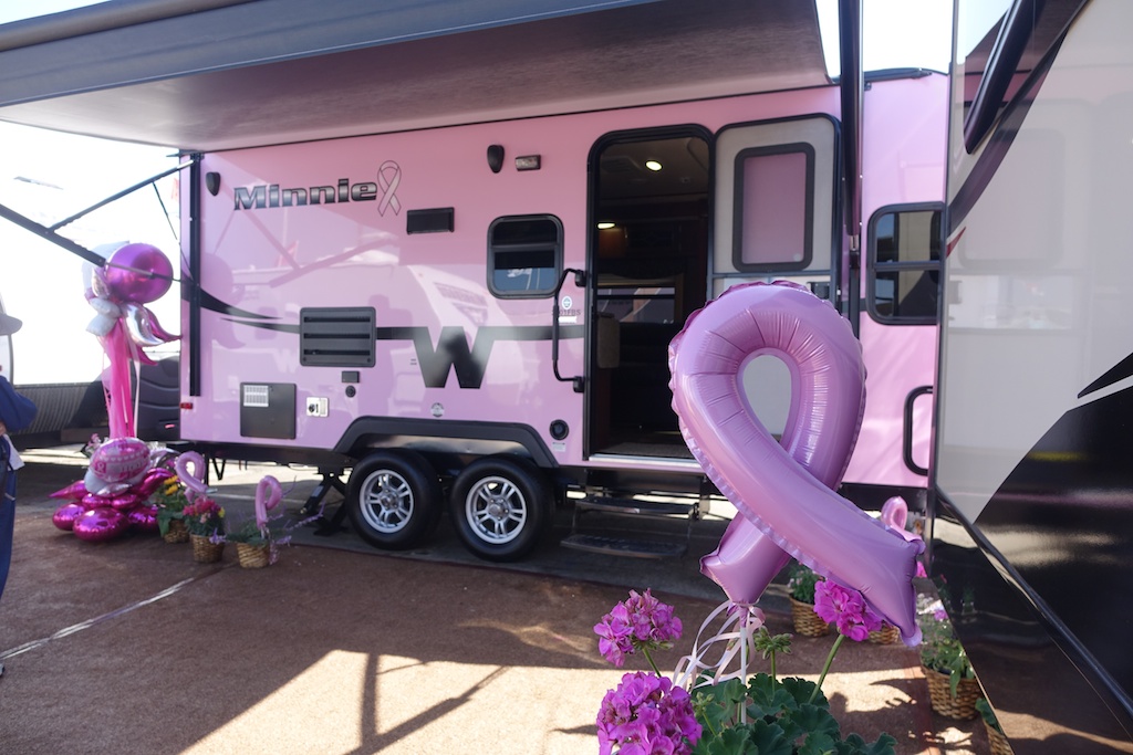 Custom painted pink Winnebago Minnie.