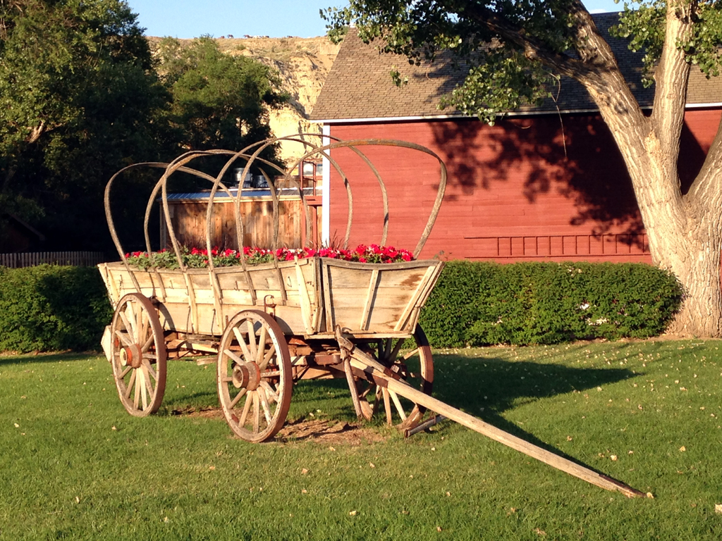 Old wagon with flowers planted on grassy yard.