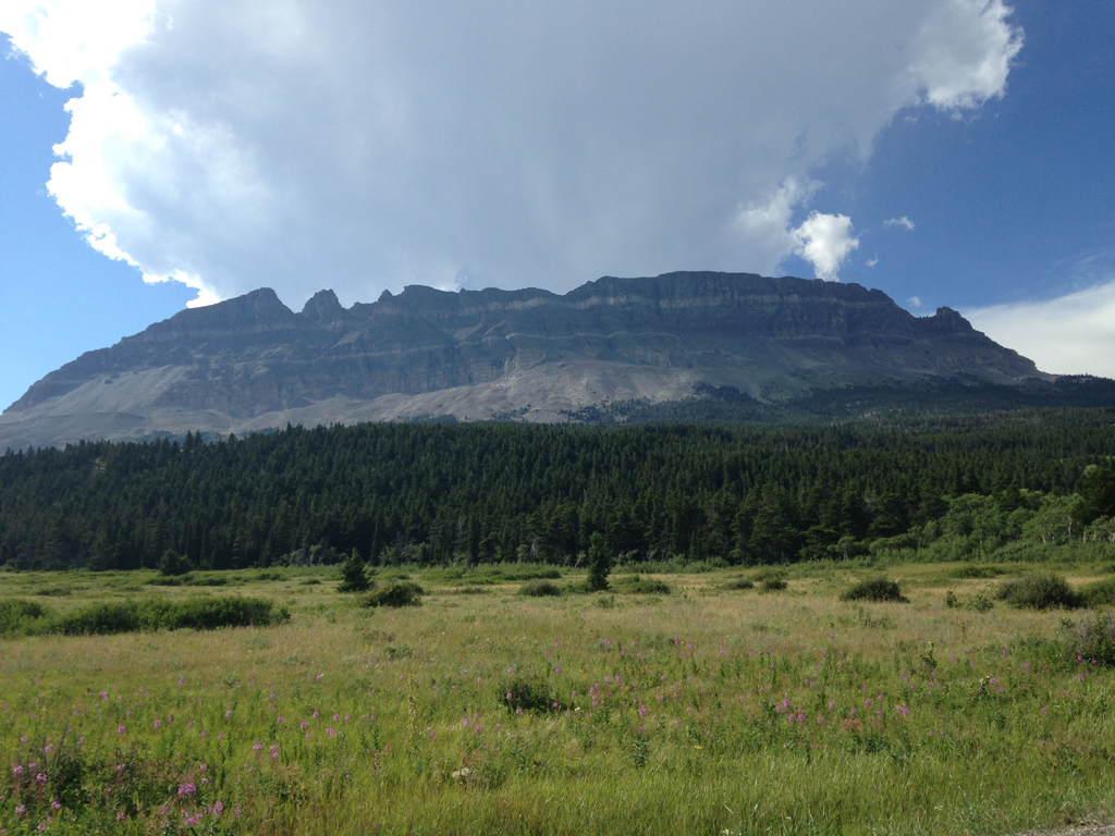 Multilayered rock formation above trees and grassy plain.
