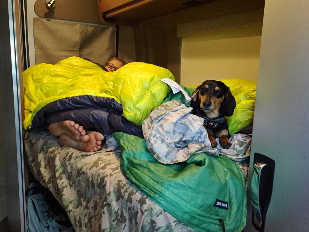 Woman in bed with a dog all cuddled in blankets.