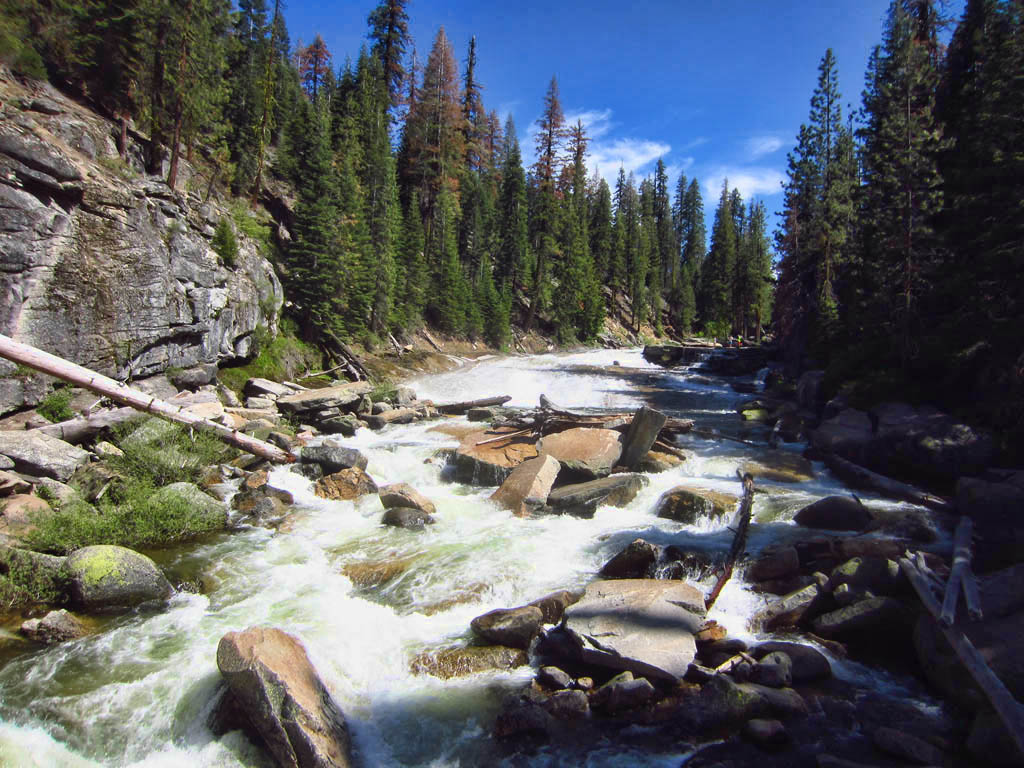 Trees lining a rushing river.