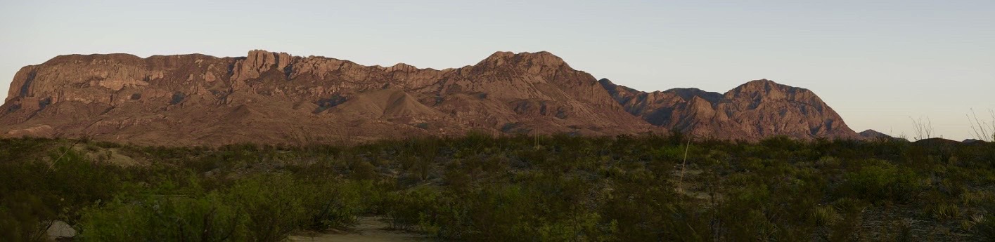 Brush leading up to mountain range.