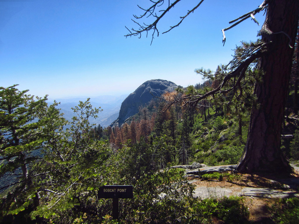 Sign for Bobcat Point with view massive rock formation over the tops of the trees and valley below.