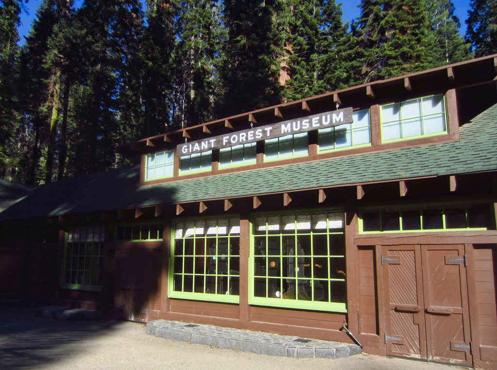 Giant Forest Museum surrounded by trees.