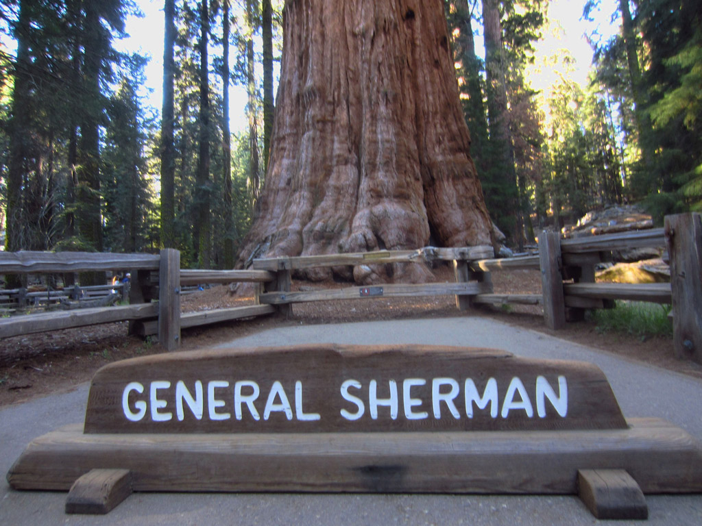 Sign for General Sherman at the base of the 2,000 year old sequoia.