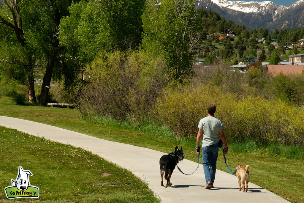 Rod walking Ty and Buster down paved path